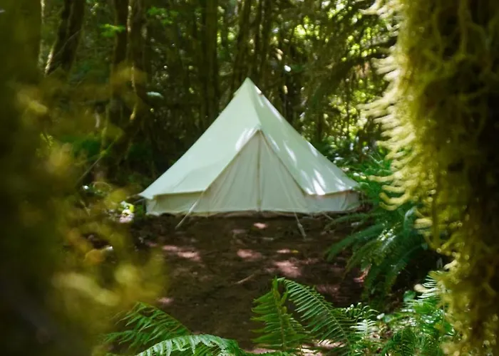 Pets Allowed Hotel Wander Camp Olympic